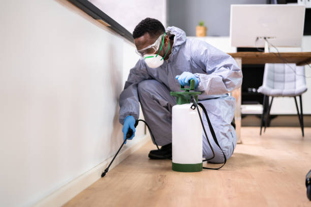 Emergency Pest Control in Newark, NJ